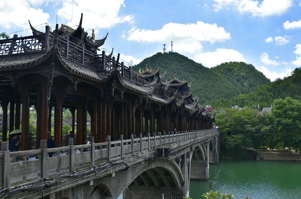 探索知识星球平台 - 虾怎么烧才好吃?不可错过的学习圈子